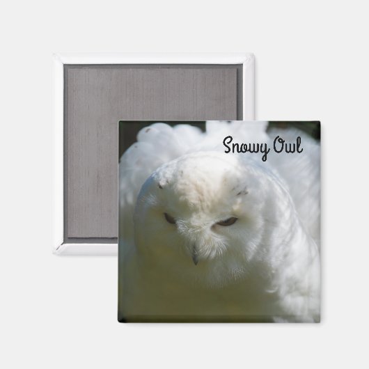 Snowy Owl Magneet (Voorkant / Achterkant)