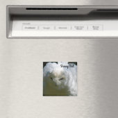 Snowy Owl Magneet (Insitu (Vaatwasser))