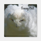 Snowy Owl Magneet (Voorkant)