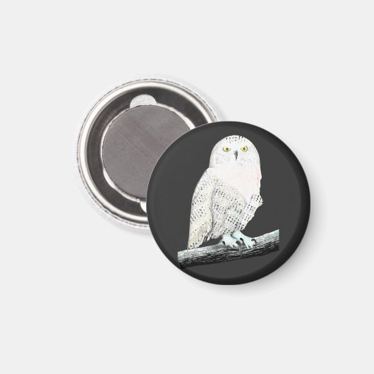 Snowy Owl Magneet (Voorkant / Achterkant)