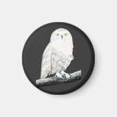 Snowy Owl Magneet (Voorkant)