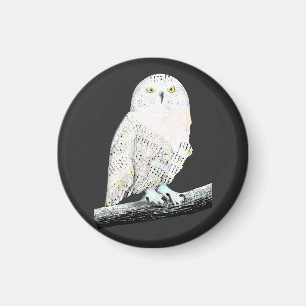 Snowy Owl Magneet