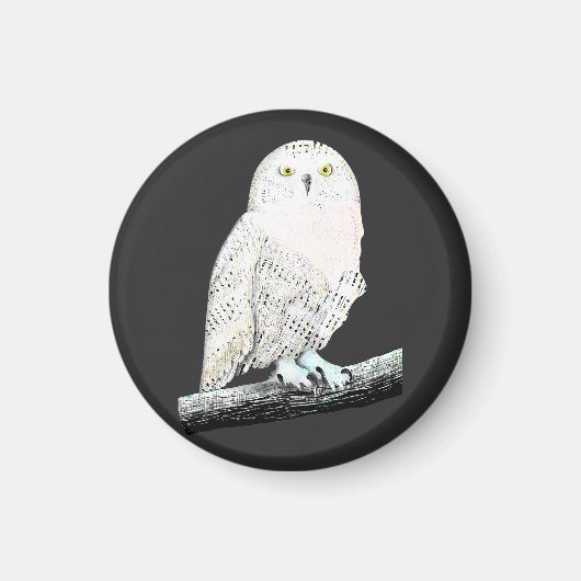 Snowy Owl Magneet (Voorkant)