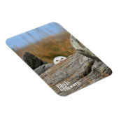 Snowy Owl Magneet (Rechterzijde)