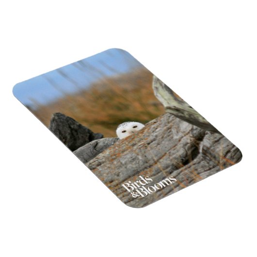 Snowy Owl Magneet (Rechterzijde)