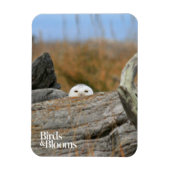 Snowy Owl Magneet (Verticaal)