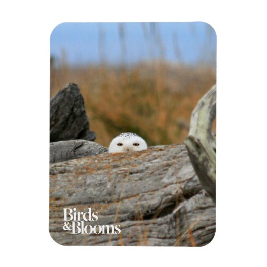 Snowy Owl Magneet (Verticaal)
