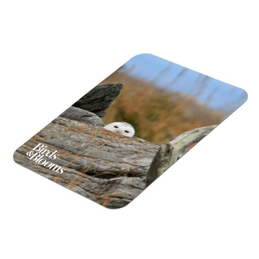 Snowy Owl Magneet (Linkerzijde)