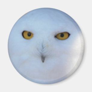 Snowy Owl Magneet