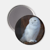 Snowy Owl Magneet (Voorkant / Achterkant)