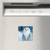 Snowy Owl Magneet (Insitu (Vaatwasser))