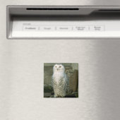 Snowy Owl magnet (Insitu (Vaatwasser))