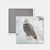 Snowy Owl magnet (Voorkant / Achterkant)