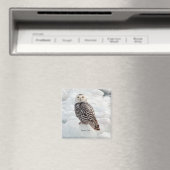 Snowy Owl magnet (Insitu (Vaatwasser))
