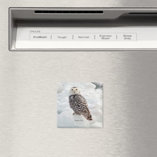Snowy Owl magnet (Insitu (Vaatwasser))