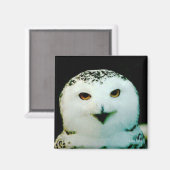 Snowy Owl Magnet (Voorkant / Achterkant)