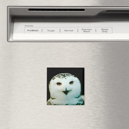 Snowy Owl Magnet (Insitu (Vaatwasser))