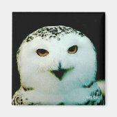 Snowy Owl Magnet (Voorkant)