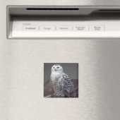 Snowy Owl magnet (Insitu (Vaatwasser))
