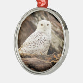 Snowy Owl met Kerstmis Metalen Ornament (Links)