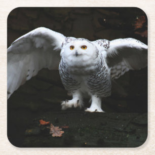Snowy Owl met open klooster van Wings Kartonnen Onderzetters