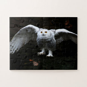 Snowy Owl met open vleugels 11x14 30pc jpcnm Legpuzzel