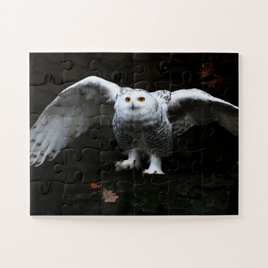 Snowy Owl met open vleugels 11x14 30pc jpcnm Legpuzzel (Horizontaal)
