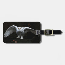 Snowy Owl met open vleugels cd ltcnm
