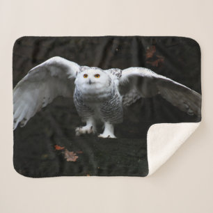 Snowy Owl met open vleugels sbcy arc4 Sherpa Deken