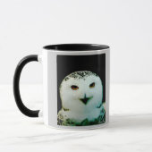 Snowy Owl Mok (Links)