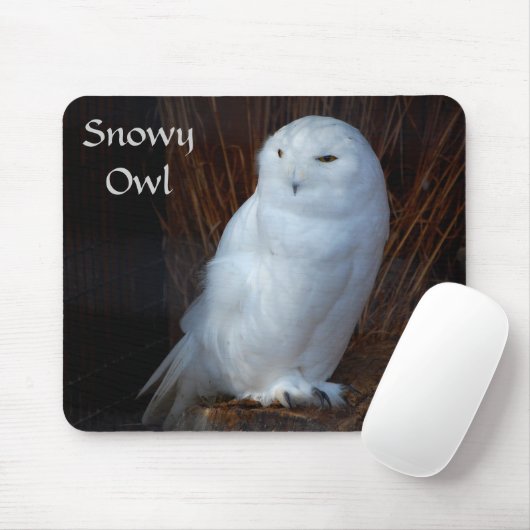 Snowy Owl - mousepad Muismat (Met muis)