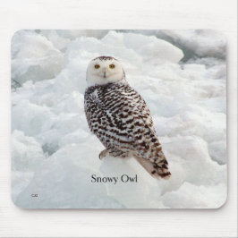 Snowy Owl Mousepad Muismat