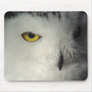 Snowy Owl Mousepad Muismat