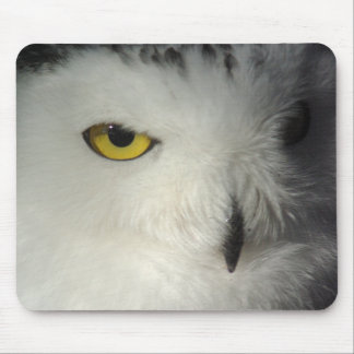 Snowy Owl Mousepad Muismat