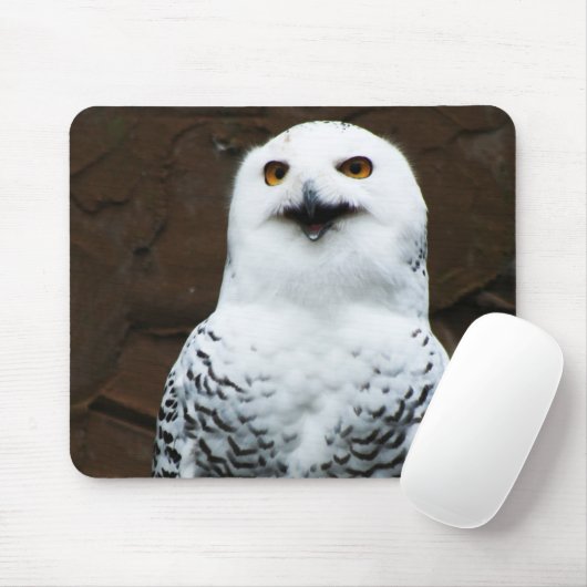 Snowy Owl mpcn Muismat (Met muis)