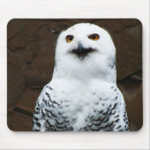 Snowy Owl mpcna Muismat (Voorkant)