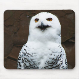 Snowy Owl mpcna Muismat