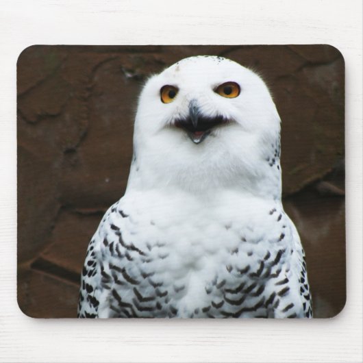 Snowy Owl mpcna Muismat (Voorkant)