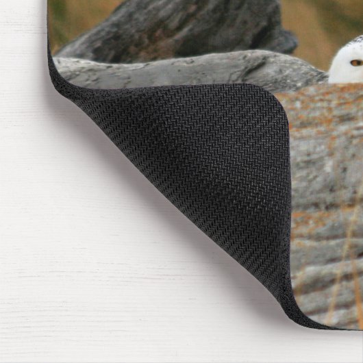 Snowy Owl Muismat (Hoek)