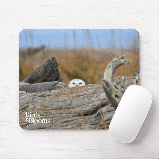 Snowy Owl Muismat (Met muis)