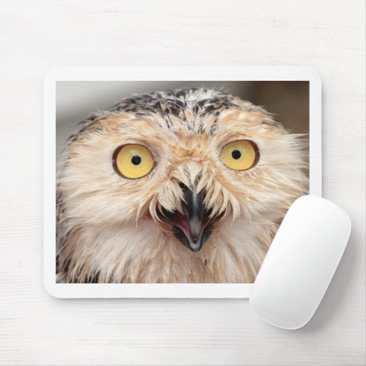 Snowy Owl Muismat (Met muis)