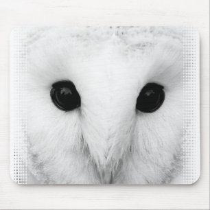 Snowy Owl Muismat