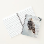 Snowy Owl notitieboek (Binnen)