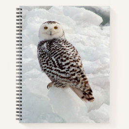 Snowy Owl notitieboek