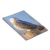 Snowy owl - notitieboek (Rechterzijde)