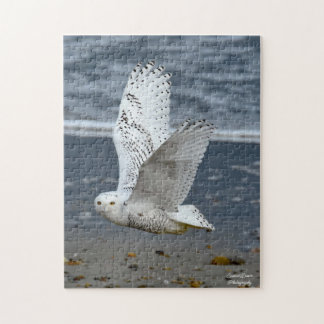 Snowy Owl on a beach Legpuzzel