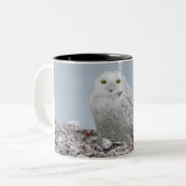 Snowy Owl on shells Coffee Mok (Voorkant links)