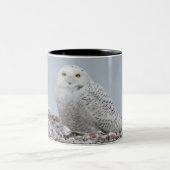 Snowy Owl on shells Coffee Mok (Center)