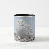 Snowy Owl on shells Coffee Mok (Midden)