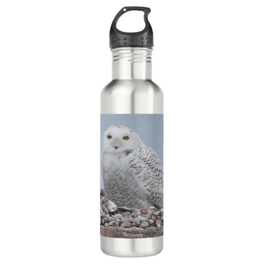 Snowy Owl on Snells Waterfles (Voorkant)